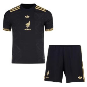 Kid's Mexico Away Jerseys Kit(Jersey+Shorts) Copa América 2024（复制） Top Soccer Jerseys Store